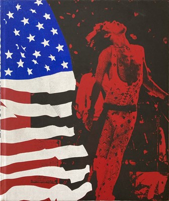 Lot 204 - BOB GRUEN - CROSSFIRE HURRICANE GENESIS PUBLICATIONS.