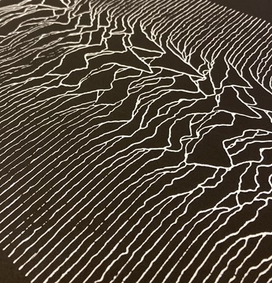 Lot 170 - JOY DIVISION - ASTORIA EDINBURGH 1980 - CANCELLED CONCERT POSTER.