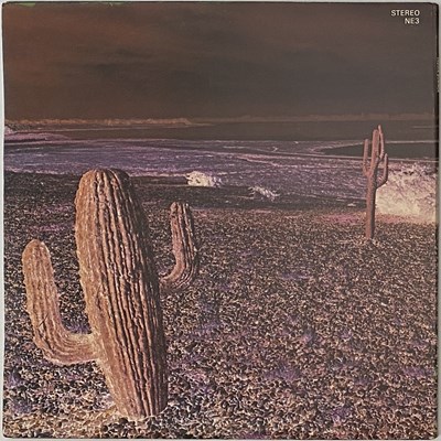 Lot 20 - INDIAN SUMMER - INDIAN SUMMER LP (UK ORIGINAL - RCA NEON - NE 3)