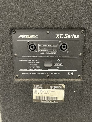 Lot 2 - PEAVEY HISYS 2XT SPEAKERS - PAIR