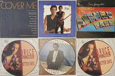 Lot 806 - BRUCE SPRINGSTEEN - BOX SET / LP COLLECTION