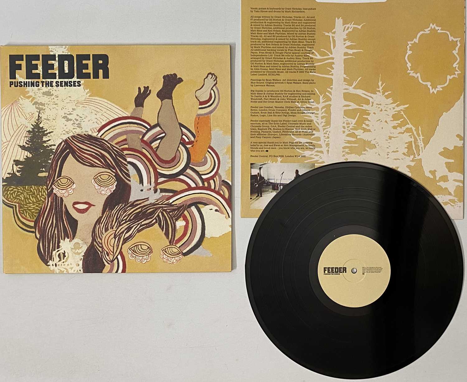 Lot 89 - FEEDER - PUSHING THE SENSES LP (ECHLP60)