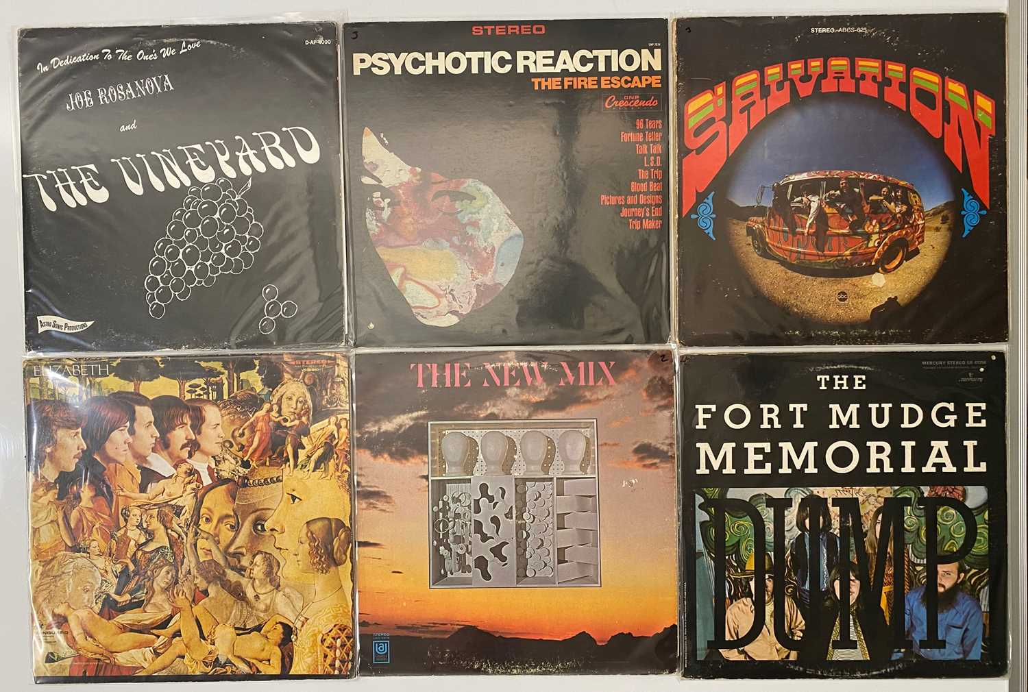 Lot 8 - US PSYCH - LPs