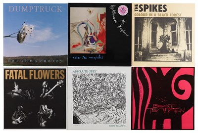 Lot 965 - INDIE / ALT / AMERICANA - LP COLLECTION